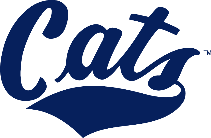 Montana State Bobcats 2013-Pres Wordmark Logo v2 t shirts iron on transfers
